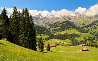 Картинка Швейцария, долина, Oberland, деревья, поля, горы, домики, луга