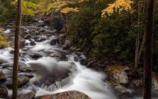 Картинка осень, лес, Great Smoky Mountain National Park, деревья, США, ручей, камни