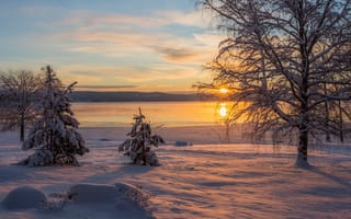 Картинка зима, иней, солнце, облака, деревья, снег, закат, природа