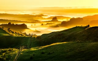 Картинка New Zealand, Golden Sunrise, Foggy