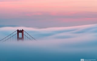 Картинка Kenji Yamamura, туман, Сан-Франциско, photographer, рассвет, золотые ворота