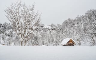 Картинка зима, снег, cottage, house, nature, пейзаж, зимний, beautiful, хижина, landscape, snow, деревья, winter