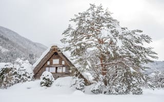 Картинка зима, snow, landscape, winter, зимний, снег, хижина, house, cottage, beautiful, пейзаж, nature, деревья