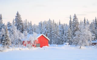 Картинка зима, снег, деревья, beautiful, хижина, house, winter, зимний, nature, пейзаж, landscape, snow
