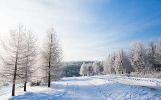Обои зима, снег, nature, beautiful, деревья, landscape, пейзаж, зимний, winter, snow