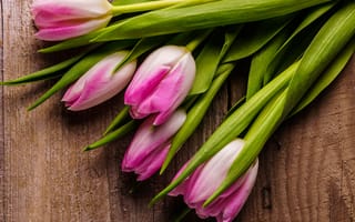 Картинка цветы, букет, romantic, tulips, тюльпаны, beautiful, pink, wood, spring, fresh, розовые, flowers