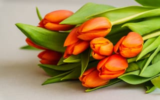 Картинка цветы, tulips, romantic, букет, flowers, spring, orange, beautiful, тюльпаны, fresh