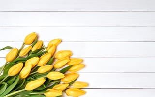 Картинка цветы, букет, flowers, fresh, yellow, желтые, тюльпаны, tulips