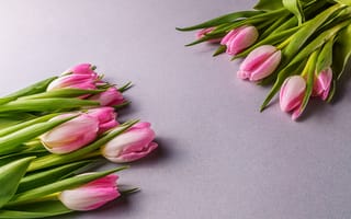 Картинка цветы, букет, тюльпаны, pink, розовые, fresh, tulips, romantic, beautiful, spring, flowers