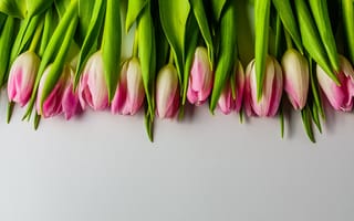 Картинка цветы, букет, fresh, тюльпаны, beautiful, flowers, pink, розовые