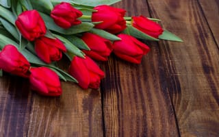 Картинка цветы, букет, тюльпаны, tulips, wood, spring, romantic, красные, fresh, red, flowers