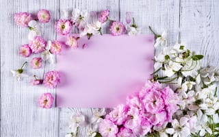 Картинка цветы, frame, tender, wood, beautiful, floral, flowers, pink, розовые