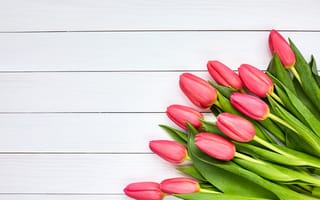 Картинка цветы, букет, fresh, pink, тюльпаны, розовые, beautiful, flowers