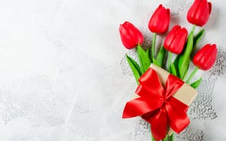 Обои цветы, букет, romantic, лента, красные, red, любовь, тюльпаны, tulips, flowers, love, gift box, valentine's day, подарок
