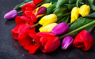 Картинка цветы, букет, tulips, тюльпаны, colorful, beautiful, spring, flowers
