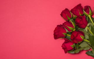 Картинка цветы, розы, red, красные, бутоны, roses, flowers, romantic