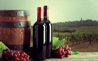 Картинка поле, листья, виноград, пейзаж, бутылка, вино, доски, виноградник