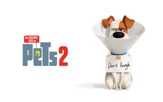 Картинка надпись, мультфильм, постер, Max, The Secret Life Of Pets 2, персонажи, собака, белый