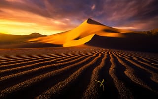 Картинка пустыня, дюны, облака, барханы, песок, небо