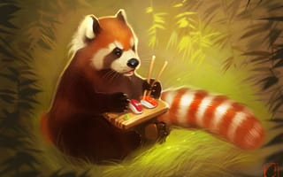 Картинка red panda, медведь, панда, суши, арт