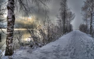 Картинка река, берёза, зима, снег