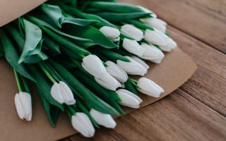 Картинка flowers, tulips, bouquet of flowers
