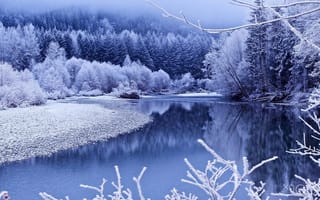 Картинка зима, tree, snow, деревья, lake, озеро, снег, winter