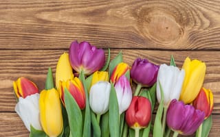 Картинка цветы, букет, colorful, розовые, beautiful, тюльпаны, flowers, love, wood, romantic, pink, spring, tulips, purple