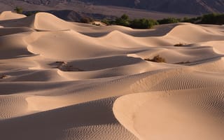 Обои барханы, пустыня, песок