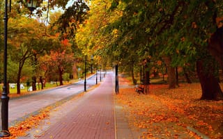 Картинка Дорога, Осень, Fall, Park, Road, Trees, Листва, Фонари, Парк, Деревья, Скамейка, Autumn, Leaves