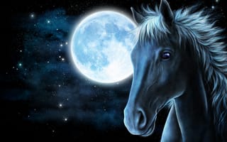 Обои лошадь, рендеринг, морда, звезды, луна, конь