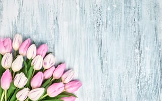 Картинка цветы, букет, spring, romantic, beautiful, pink, tulips, розовые, тюльпаны, flowers, wood
