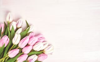 Картинка цветы, букет, tulips, тюльпаны, beautiful, розовые, romantic, flowers, spring, pink