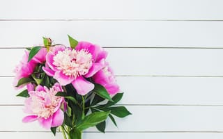Картинка цветы, букет, розовые, flowers, beautiful, pink, пионы, wood