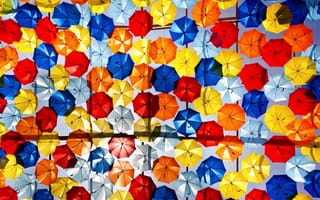 Картинка зонтики, много, разноцветные