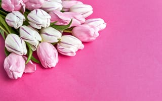 Картинка цветы, букет, pink, тюльпаны, romantic, tulips, розовый, beautiful, розовые, spring, flowers
