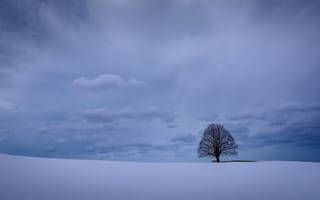 Картинка зима, дерево, облака, снег, Германия, Бавария, небо