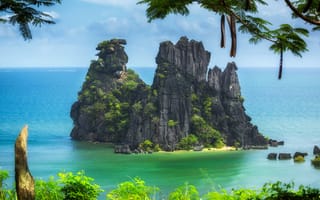 Картинка Новая Каледония, скалы, ветки, деревья, остров, Тихий океан