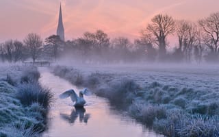Картинка Великобритания, туман, небо, закат, птица, лебедь, река, иней, Англия, оранжевое, вечер, зима, деревья, собор