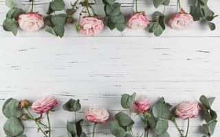 Картинка цветы, розы, roses, flowers, pink, розовые, beautiful, wood