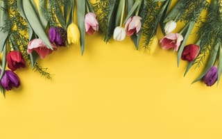 Картинка цветы, colorful, flowers, tulips, multicolored, beautiful, spring, тюльпаны