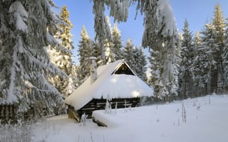 Картинка дом, зима, лес, снег, деревья