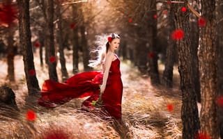 Картинка Little, розы, Red Riding Hood, Shooting fantasy, в красном, ветер, лес, платье, девушка