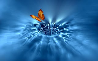 Картинка бабочка, арт, крылья, поток, сингулярность