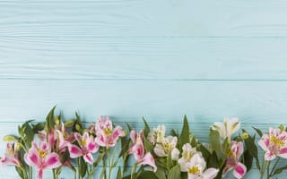 Картинка цветы, colorful, wood, spring, flowers, pink, beautiful, lily