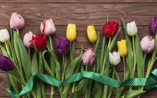 Картинка цветы, colorful, тюльпаны, flowers, spring, multicolored, tulips, beautiful