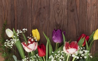 Картинка цветы, colorful, тюльпаны, spring, multicolored, flowers, tulips, beautiful