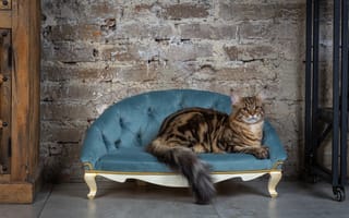 Картинка wall, style, sofa