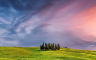 Картинка Италия, дерево, Тоскана, небо, поля