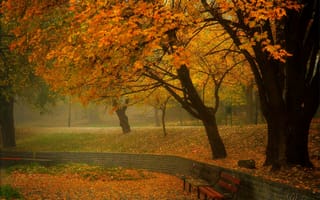 Картинка Туман, Leaves, Fall, Park, Листва, Парк, Деревья, Осень, Fog, Autumn, Скамейки, Trees